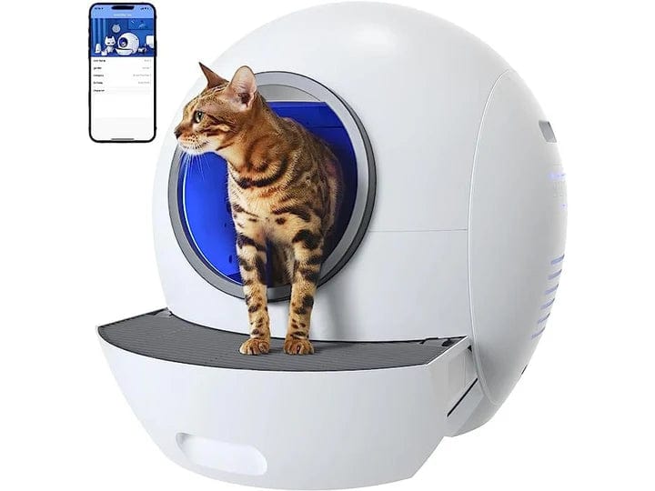 Why the Foldable Smart Cat Litter Box is the Best Choice for Your Cat