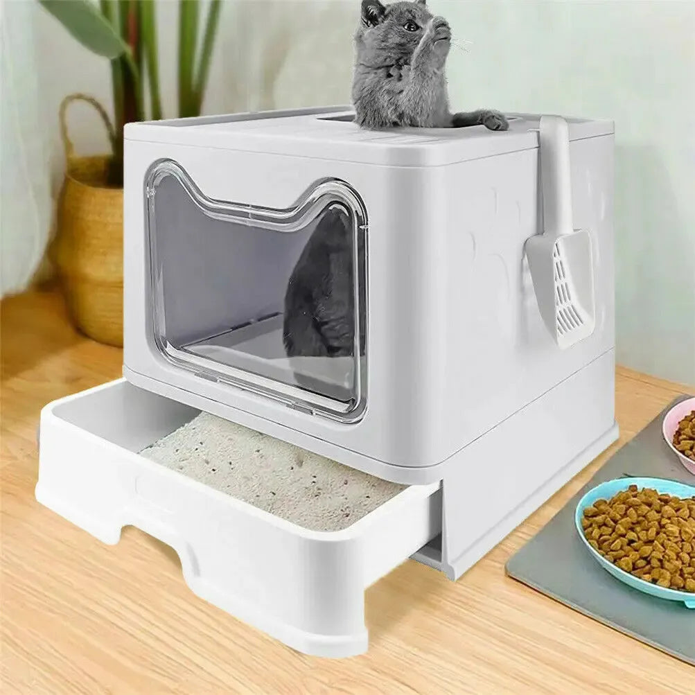 Clean, Quiet, and Clever: The Ultimate Litter Box